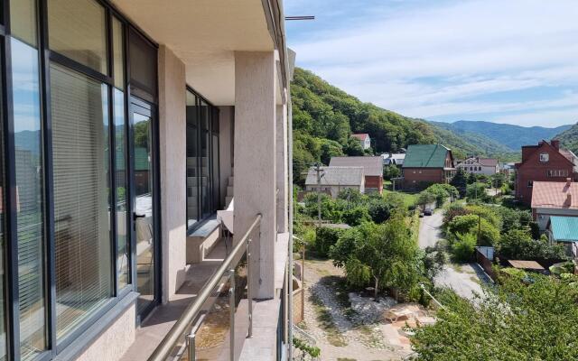 Townhouse with panoramic roof