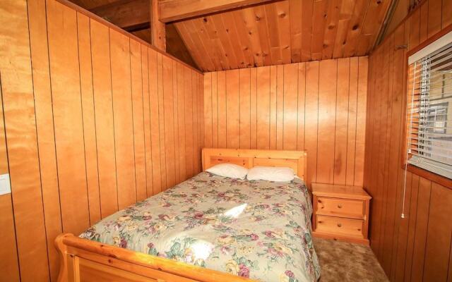 RedAwning Papa Bear #1493