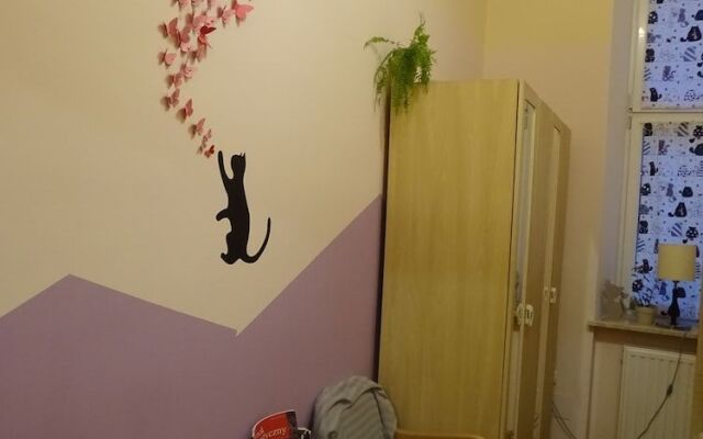 Cat Hostel Krakow