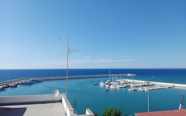 Orlando Bay View