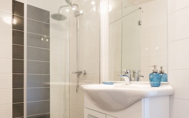 Grand Studio au Capitole