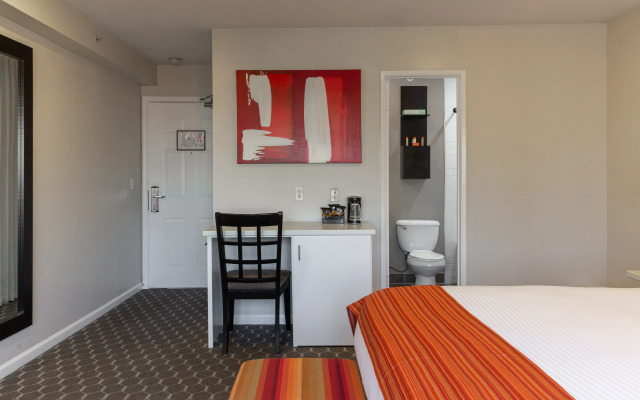 Shelter Hotel