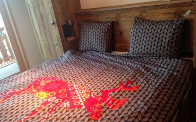 Ski in Ski out LUXURY & MOUNTAIN apartments by Alpvision Résidences