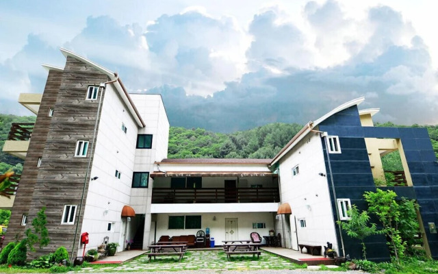 The Tree in the Lake