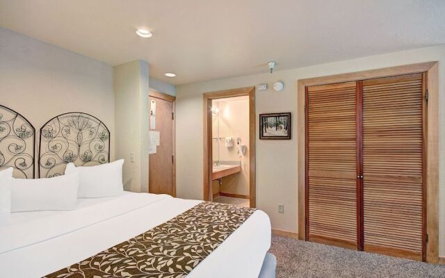 Village at Breck V4224