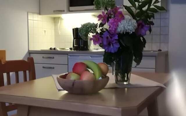 Apart Hotel Garni Austria