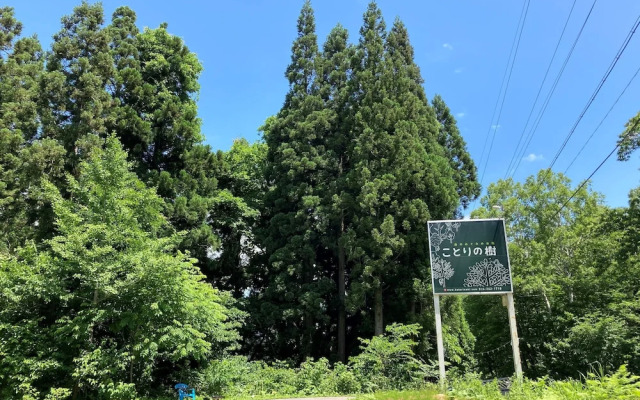 Japanese Style Pension Kotorinoki