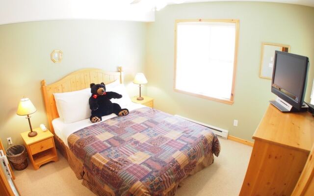 Crystal Forest by Bear Country