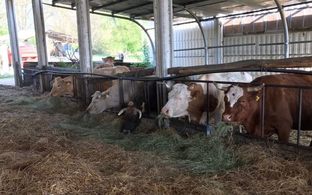 Agriturismo Fattoria Didattica I Due Mondi