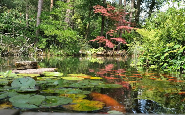 Vakantiewoning Salland