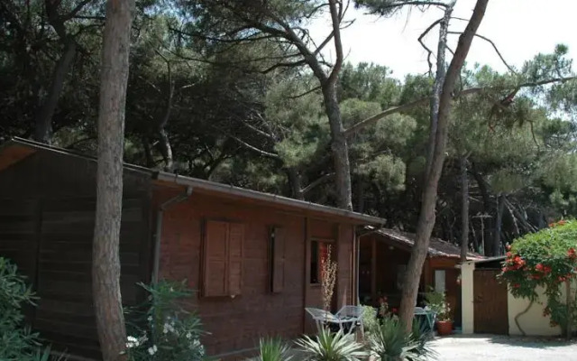 Camping Pionier Etrusco