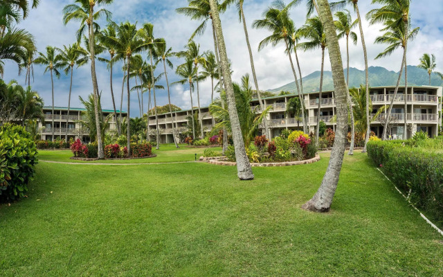 Molokai Vacation Properties – Wavecrest