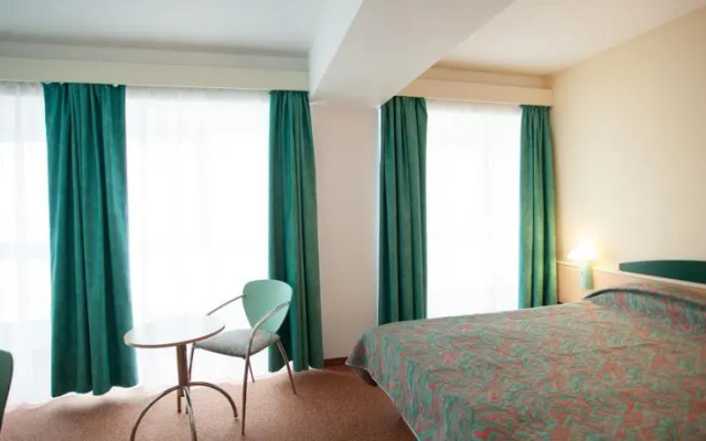 Ibis Constanta