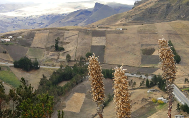 Hostal Chukirawa - Hostel