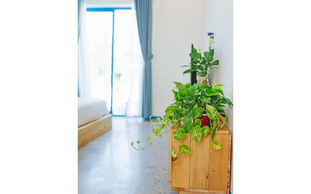 Santori Homestay Hoi An - Hostel – Guest Rooms – Da Nang
