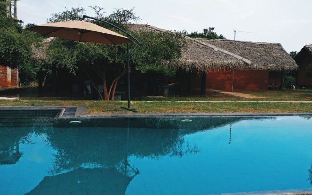 The Elephant Pass Yala