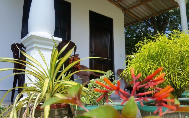 Fairview Dill homestay