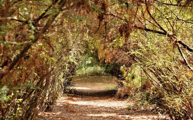 Dunkeld East