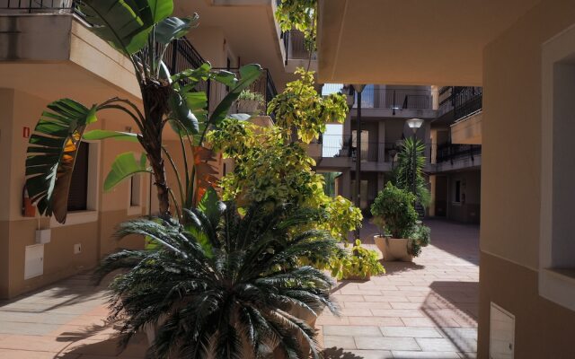 Aguilas de los Collados