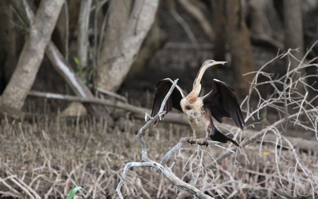Rhino Coast Guest House