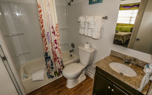 Iguana Mama's Beach House