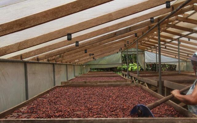 Finca Amistad Cacao Lodge
