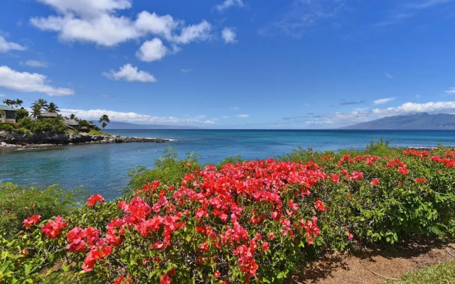 Napili Point B44