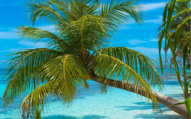 Dhiguveli Maldives Hotel