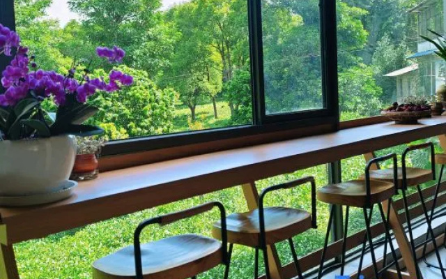 Xiangshi Jingmai · Homestay (Puer Tea Estate) – Outside – Pu'er