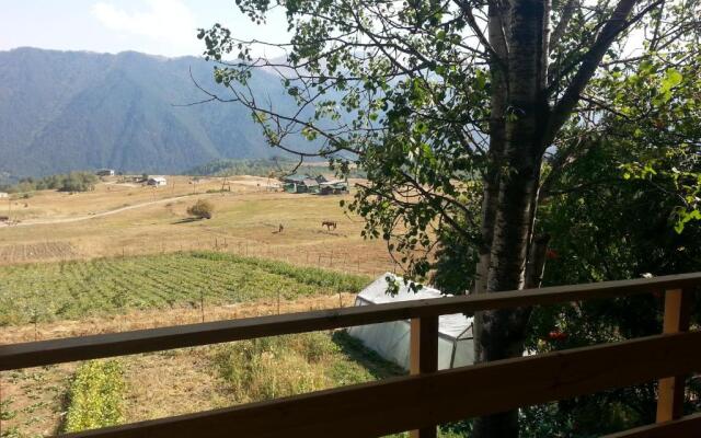Guest House ALUDA