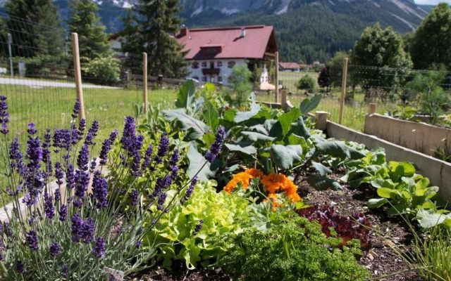 Apartments Ausfernerhof