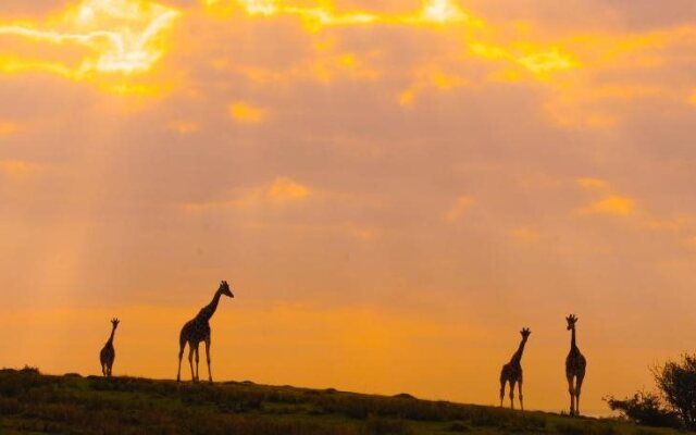 Port Lympne (Zoo Park)