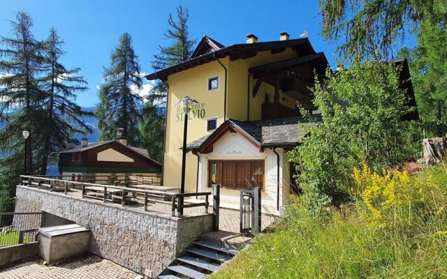 Residence Stelvio