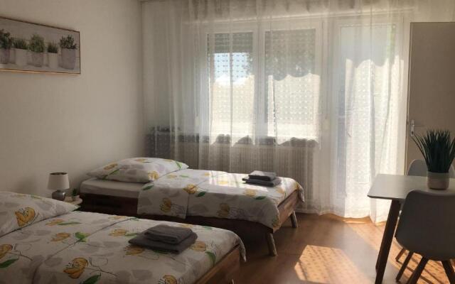 Studios near Basel Airport - RM 118