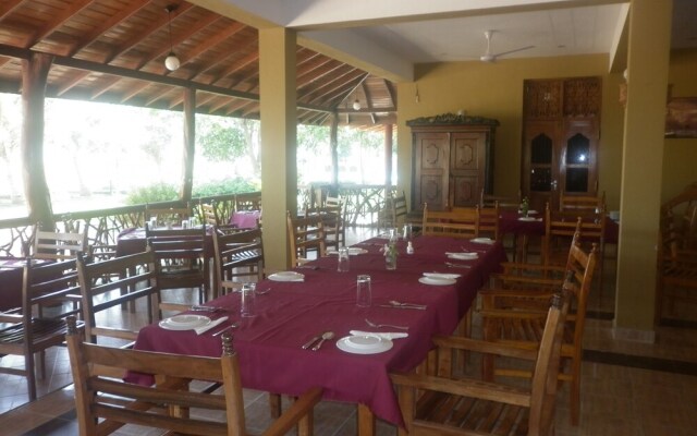 Wila Safari