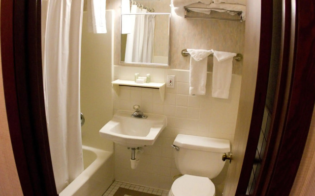 Chestnut Mountain Resort