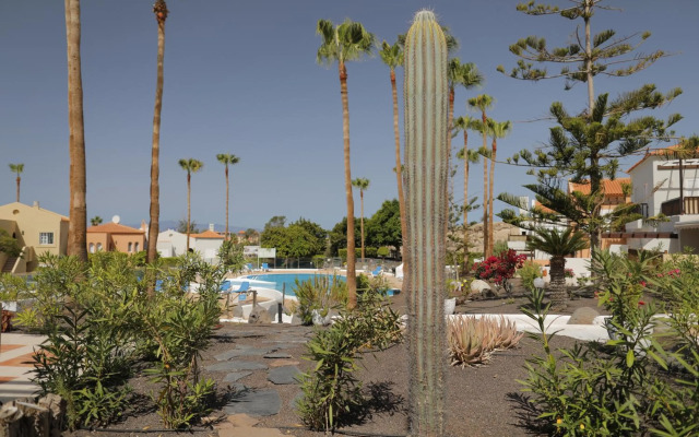 almacanarias.holidays Alma 2