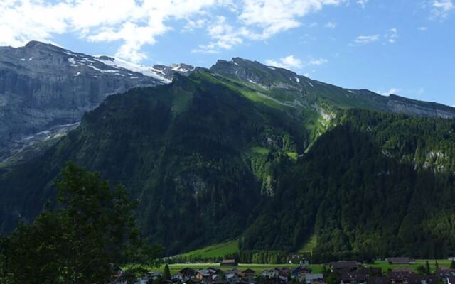 Apartment Berg Engelberg 37783