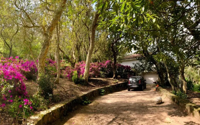Quinta biológica, com vista, na Serra de Sintra