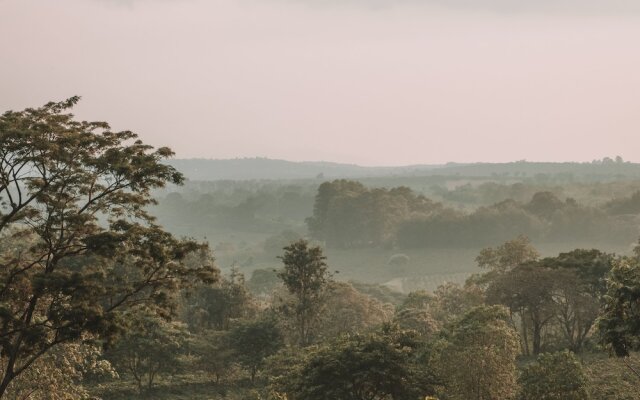 Gibb's Farm