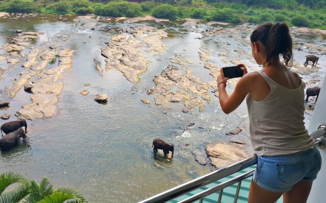 Hotel Elephant Park