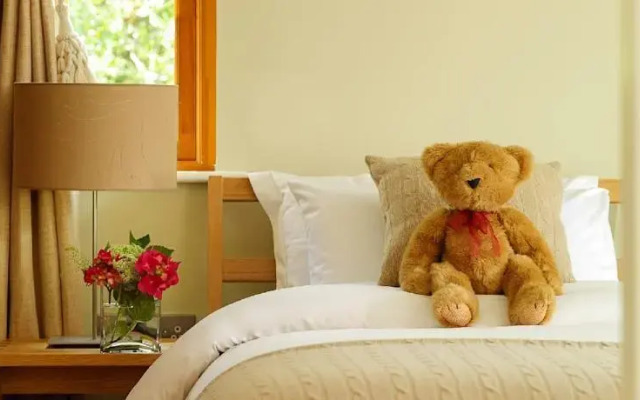 Parknasilla Self-Catering Lodges