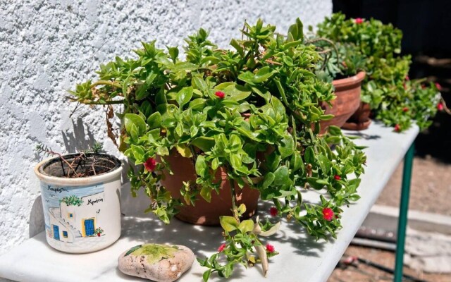 Apartments With sea View in Creta Ierapetra