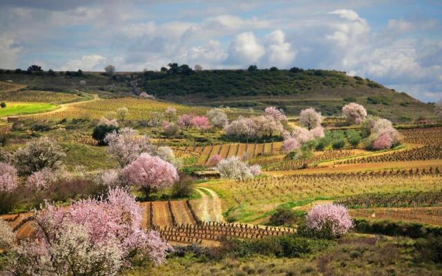 Pensión San Lorenzo