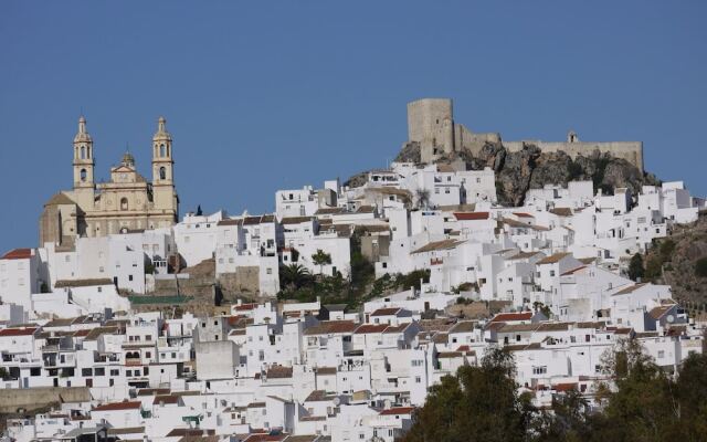 Lemon Tree Patio is a Delightful Home in Olvera, Cadiz Andalucia, Spain