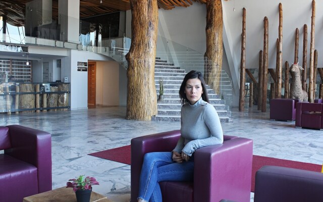 Hotel Borovi Sjenica
