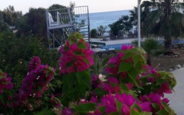 Anko Beach Resort Hotel