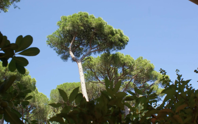 Hotel Les Jardins De Sainte Maxime