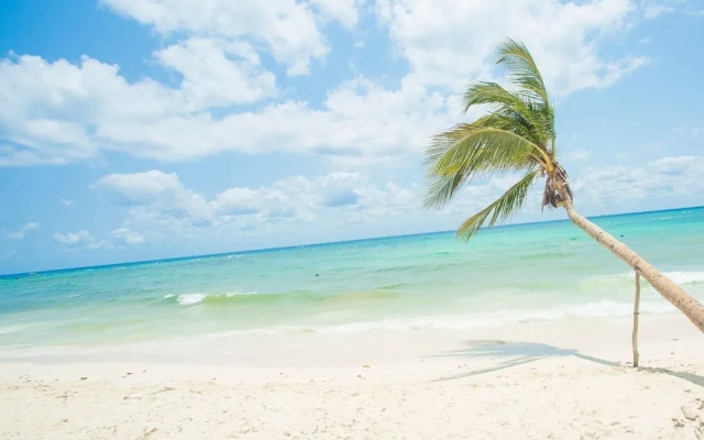 1BR Condo - Best Location! Pool+beach! Sleeps 4!!