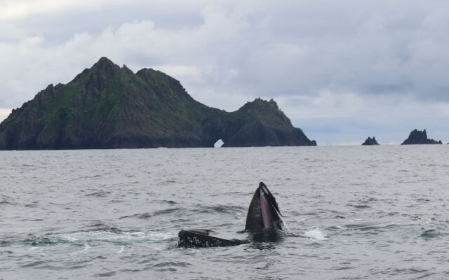 Great Blasket Island Accommodation